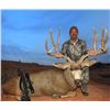 Image 1 : 2020 Utah Buck Deer San Juan, Elk Ridge Conservation Permit, Hunter’s Choice