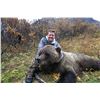 Image 2 : 10-day Horseback Moose/Grizzly Combo Hunt in Alaska