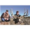 Image 3 : 2020 Jicarilla Tribe Mule Deer Auction Permit