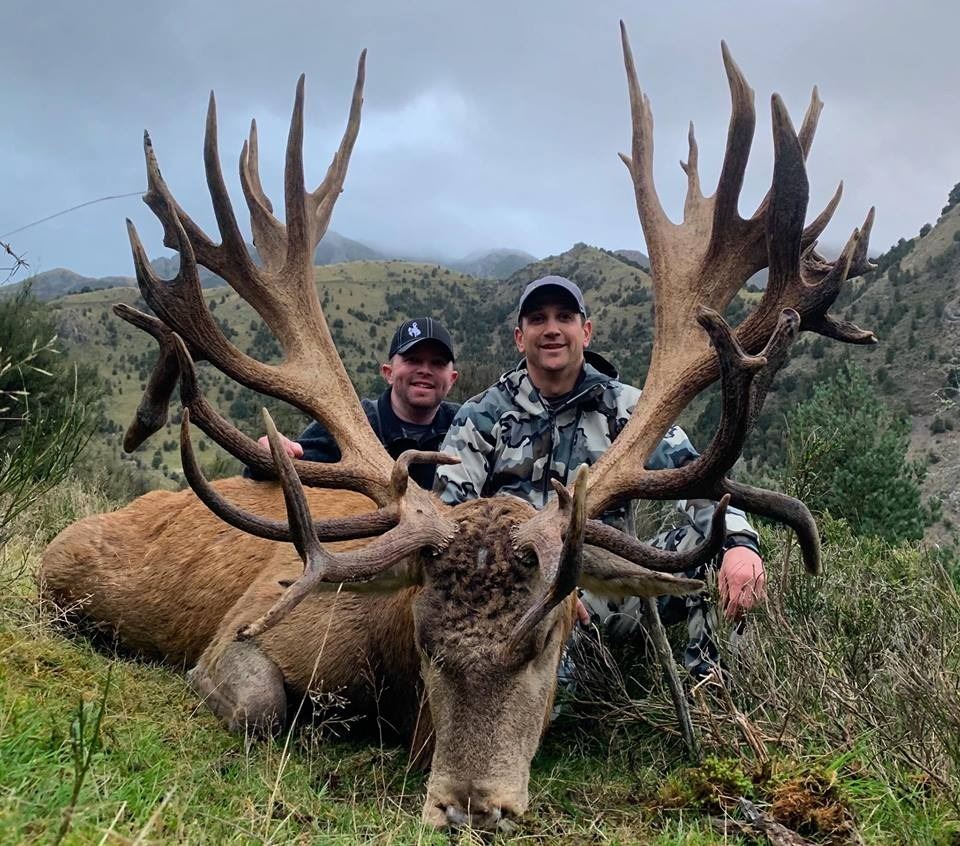 5Day Red Stag Hunt for Two (2) Hunters in Kaikoura, New Zealand