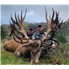 Image 1 : 5-Day Red Stag Hunt for Two (2) Hunters in Kaikoura, New Zealand