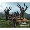 Image 2 : 5-Day Red Stag Hunt for Two (2) Hunters in Kaikoura, New Zealand