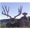 Image 1 : 2020 Oregon Deer/Elk Combination including One (1) Statewide Deer Tag and One (1)
