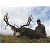 Image 2 : 2020 Oregon Deer/Elk Combination including One (1) Statewide Deer Tag and One (1)