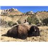 Image 3 : 2020 Utah Statewide Bison Conservation Permit