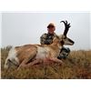 Image 2 : 3-Day Wyoming Pronghorn Antelope Hunt for Two Hunters With Offgrid Outdoors