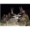Image 2 : 2020 Utah Fillmore, Oak Creek LE Buck Deer Landowner Permit
