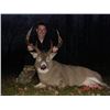 Image 2 : 5-Day Northern Whitetail Hunt in Canada for One (1) Hunter