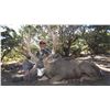 Image 1 : 2020 Utah Henry Mtns Buck Deer (Muzzleloader) Conservation Permit