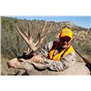 Image 2 : 2020 Colorado Mule Deer Hunt for One (1) Hunter