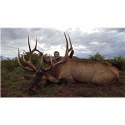 7-Day Bull Elk Hunt for One (1) Hunter on the Zuni Reservation in New Mexico