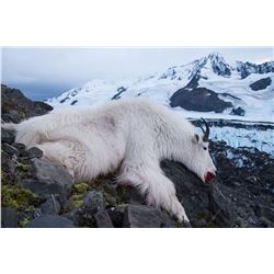 2020 Alaska Mt. Goat Permit for One (1) Hunter