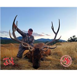 6-Day 2020 Elk Hunt on the Spring Creek Ranch CWMU for One (1) Hunter- Fully Guided by Mossback