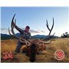 Image 1 : 6-Day 2020 Elk Hunt on the Spring Creek Ranch CWMU for One (1) Hunter- Fully Guided by Mossback