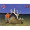 Image 3 : 6-Day 2020 Elk Hunt on the Spring Creek Ranch CWMU for One (1) Hunter- Fully Guided by Mossback