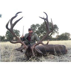 4-Day Hunt in Spain for Two (2) Hunters for Two (2) Iberian Red Deer
