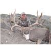 Image 2 : 2020 Utah Henry Mtns Buck Deer Conservation Permit, Hunters Choice of Season