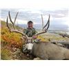 Image 3 : 2020 Utah Henry Mtns Buck Deer Conservation Permit, Hunters Choice of Season