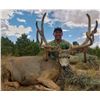 Image 4 : 2020 Utah Henry Mtns Buck Deer Conservation Permit, Hunters Choice of Season