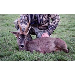 New Pagewesternhunter New Pagewesternhunter