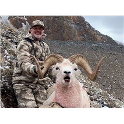 10 - Day Arctic Red River Outfitters Dall Sheep HORSEBACK Hunt for One (1) Hunter