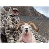 Image 1 : 10 - Day Arctic Red River Outfitters Dall Sheep HORSEBACK Hunt for One (1) Hunter