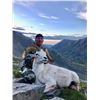 Image 5 : 10 - Day Arctic Red River Outfitters Dall Sheep HORSEBACK Hunt for One (1) Hunter