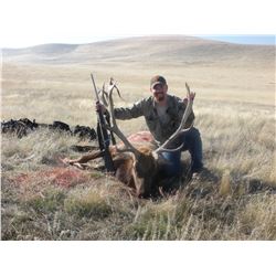 Multi Zone California Elk Permit