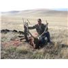 Image 1 : Multi Zone California Elk Permit