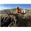 Image 1 : 2020 Utah Statewide Bull Moose Conservation Permit