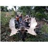 Image 2 : 2020 Utah Statewide Bull Moose Conservation Permit