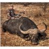 Image 2 : 10-Day ARCHERY ONLY Plains Game & Cape Buffalo Hunt for Two (2) Hunters and Two (2) Observers