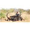 Image 4 : 10-Day ARCHERY ONLY Plains Game & Cape Buffalo Hunt for Two (2) Hunters and Two (2) Observers