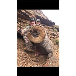 2020 Utah Nine Mile, Gray Canyon Rocky Mountain Bighorn Sheep Conservation Permit, Any Legal weapon