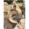 Image 3 : 2020 Utah Nine Mile, Gray Canyon Rocky Mountain Bighorn Sheep Conservation Permit, Any Legal weapon