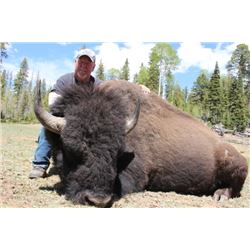 The North Rim Experience: A Vacation and Bison Hunt of Historic Significance