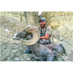 2020 Utah Kaiparowits, East/Escalante/West (Any Weapon) Desert Bighorn Sheep Conservation Permit