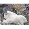 Image 1 : 2020 FULL CURL STONE OUTFITTERS, MOUNTAIN GOAT HUNT IN NORTHERN BC FOR (2) HUNTERS