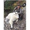 Image 3 : 2020 FULL CURL STONE OUTFITTERS, MOUNTAIN GOAT HUNT IN NORTHERN BC FOR (2) HUNTERS