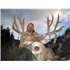 Image 3 : 2020 Colorado Statewide Mule Deer License