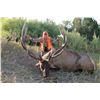 Image 3 : 2020 Utah Statewide Bull Elk Conservation Permit