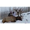 Image 5 : 2020 Utah Statewide Bull Elk Conservation Permit