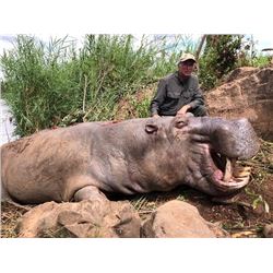 7-Day Hippo Hunt in Mozambique South Africa for One (1) Hunter
