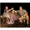 Image 2 : 7-Day Hippo Hunt in Mozambique South Africa for One (1) Hunter