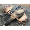 Image 1 : 2020 Exceptional Trophy Alaska Yukon Moose and Caribou Hunt Arctic Red River Outfitters.