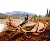Image 4 : 2020 Exceptional Trophy Alaska Yukon Moose and Caribou Hunt Arctic Red River Outfitters.