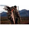 Image 6 : 2020 Exceptional Trophy Alaska Yukon Moose and Caribou Hunt Arctic Red River Outfitters.
