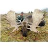 Image 7 : 2020 Exceptional Trophy Alaska Yukon Moose and Caribou Hunt Arctic Red River Outfitters.