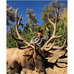 2020 Utah Fillmore, Pahvant Bull Elk Landowner Permit