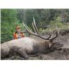 Image 2 : 2020 Utah Fillmore, Pahvant Bull Elk Landowner Permit